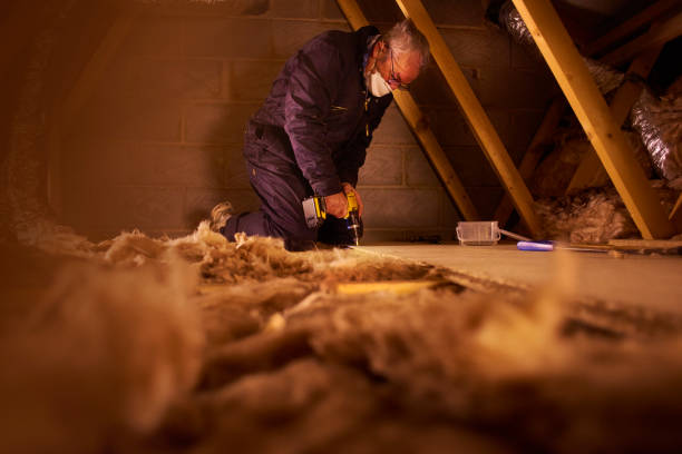 Best Blown-in Insulation  in Cambridge, MN