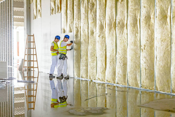 Insulation for Commercial Buildings in Cambridge, MN